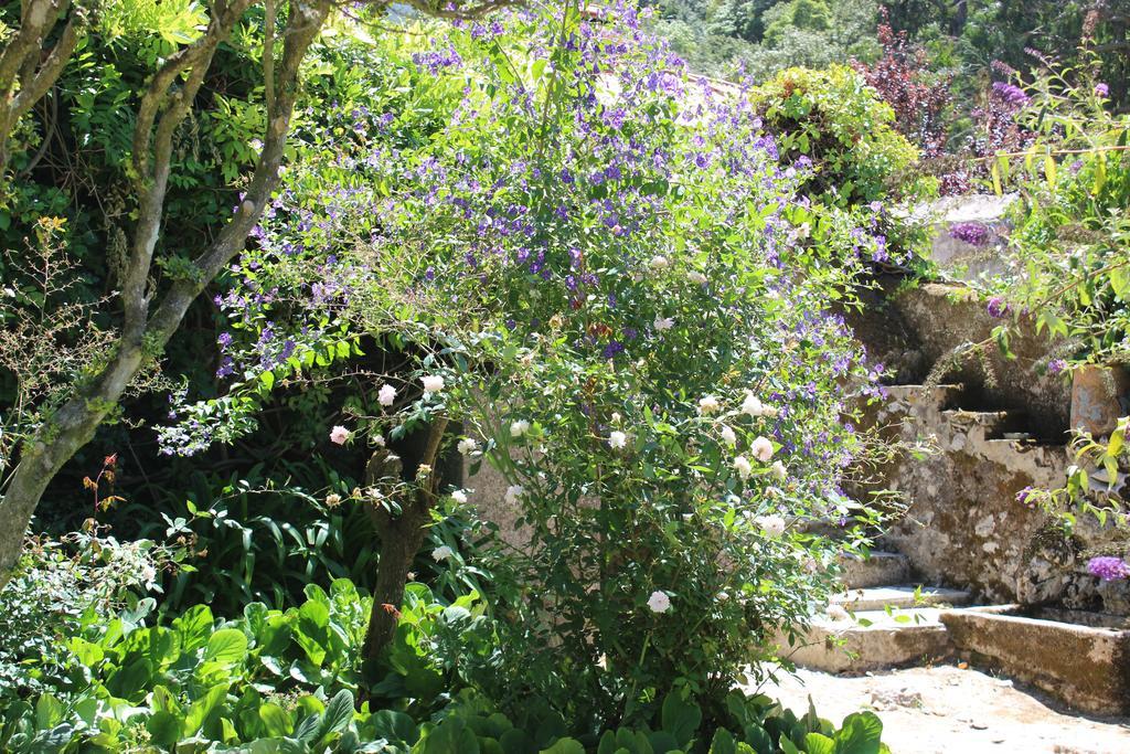 Hotel Quinta De Sao Tadeu Sintra Esterno foto