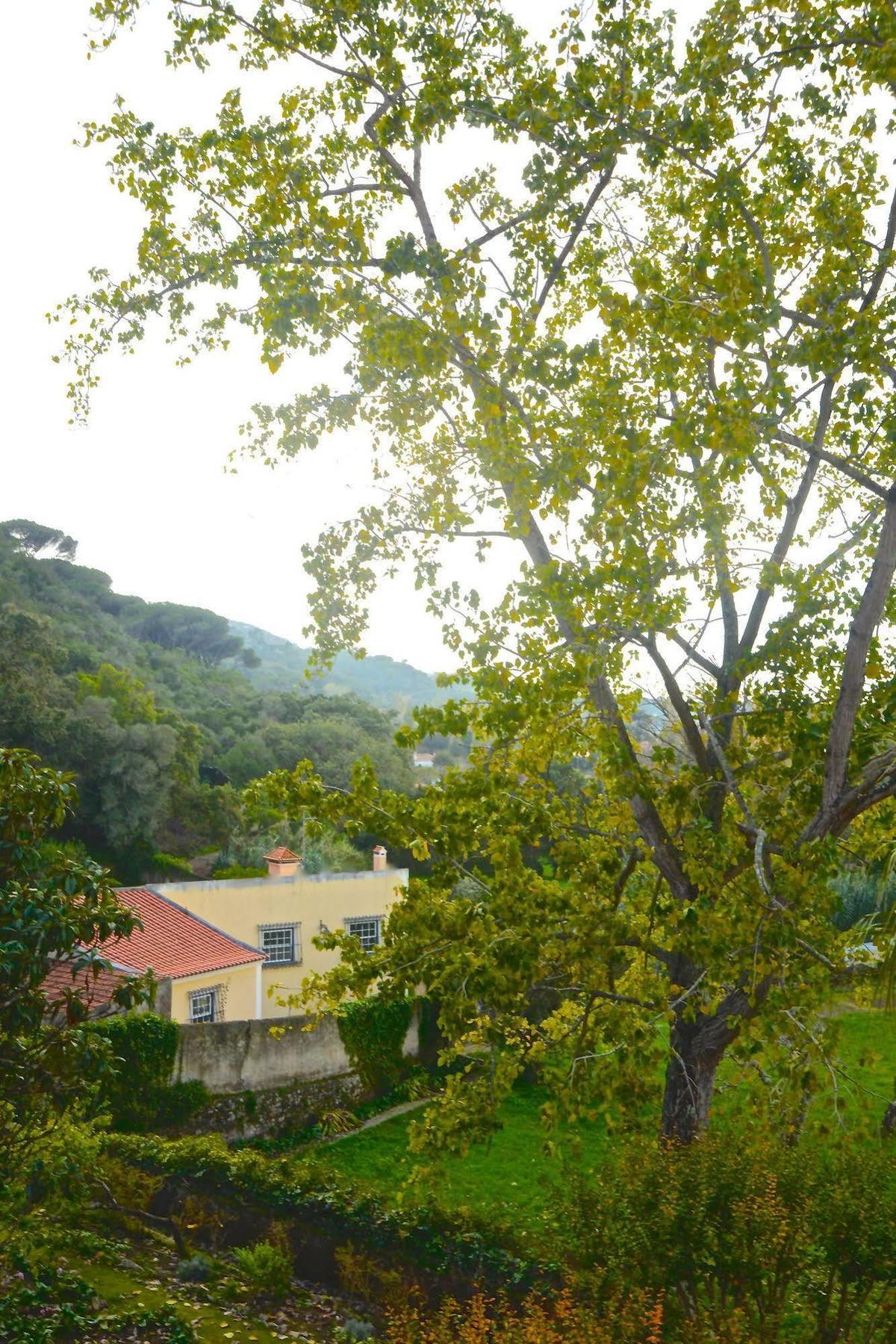 Hotel Quinta De Sao Tadeu Sintra Esterno foto